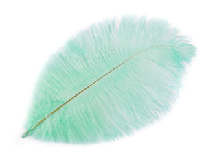 Pene de struț Premium (20-25 cm) - Plumaj natural pufos pentru lucru manual, nunți și costume