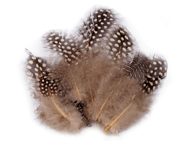 Pene decorative de găină Premium (5-13 cm) - Set de 20 bucăți pentru lucru manual, floristică și crearea de bijuterii