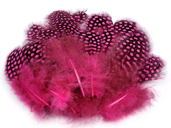 Pene decorative de găină Premium (5-13 cm) - Set de 20 bucăți pentru lucru manual, floristică și crearea de bijuterii