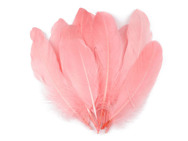Pene decorative premium de gâscă (12-21 cm) - Culori asortate pentru lucru manual, costume și design floral