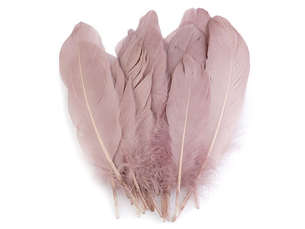 Pene decorative premium de gâscă (12-21 cm) - Culori asortate pentru lucru manual, costume și design floral