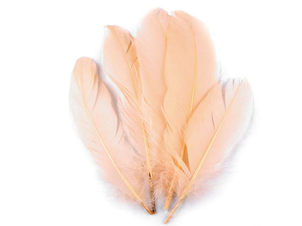 Pene decorative premium de gâscă (12-21 cm) - Culori asortate pentru lucru manual, costume și design floral