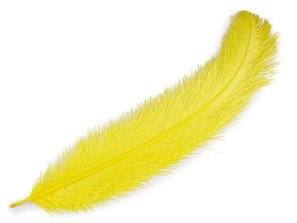 Pene de struț premium (60 cm) - Pene decorative pufoase și sofisticate pentru creații, costume și evenimente