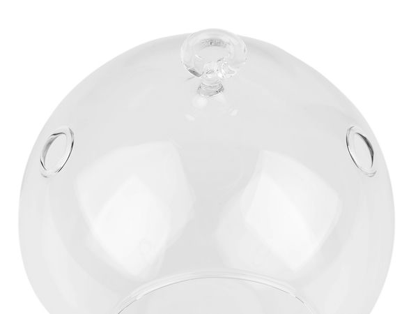 Terariu și aeriu suspendat, glob de sticlă premium (12 cm) - Suport din sticlă transparentă pentru plante și glob decorativ de expunere