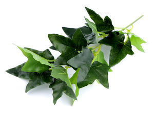 Iederă artificială curgătoare premium - Buchet decorativ cu 5 ramuri pentru aranjamente florale, coronițe și decoruri de nuntă