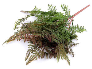 Crenguțe din ferigă artificială modelabile, aspect natural, pentru decorațiuni, aranjamente florale și coroane (Calitatea a II-a)
