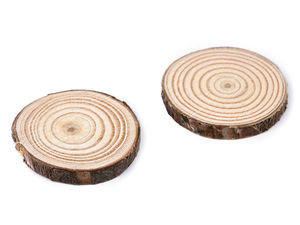 Felii din lemn natural premium cu scoarță - Discuri rotunde nefinisate din crengi de copac pentru artizanat, activități creative și proiecte DIY (Ø 2,5-4,5 cm, set de 8 bucăți)