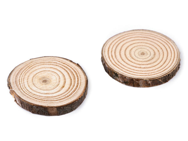 Felii din lemn natural premium cu scoarță - Discuri rotunde nefinisate din crengi de copac pentru artizanat, activități creative și proiecte DIY (Ø 2,5-4,5 cm, set de 8 bucăți)