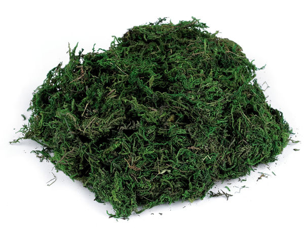 Mușchi decorativ natural verde Premium (50g) – Mușchi floristic ușor pentru coronițe, plante în ghiveci și decorațiuni de sărbători