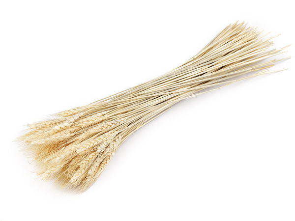 Buchet premium de spice de grâu naturale - Tije decorative uscate pentru vaze, coronițe creative și aranjamente florale
