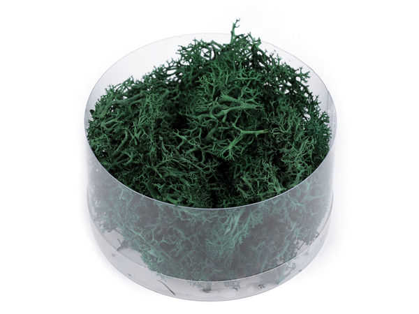 Mușchi natural stabilizat Premium (Cutie 20g) – Mușchi decorativ ecologic pentru galanterie, proiecte creative, pereți verzi și aranjamente florale