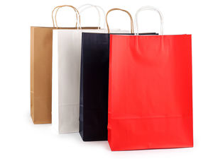 Pungi premium pentru cadou din hârtie Kraft, cu mânere răsucite durabile | Pungi versatile pentru retail, proiecte de lucru manual (DIY) și branding corporativ personalizabil