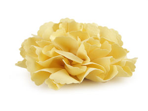 Aplică textilă floare de garoafă mare (Ø 10 cm) - Decorațiune de cusut și lipit pentru haine, încălțăminte și accesorii