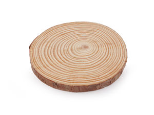 Felie din lemn natural nefinisat Premium pentru pictură și activități creative - 12 cm