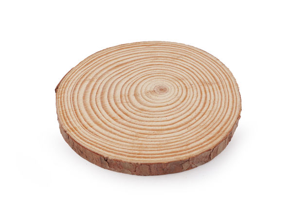 Felie din lemn natural nefinisat Premium pentru pictură și activități creative - 12 cm