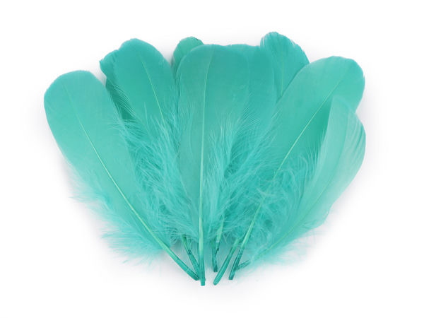 Pene decorative de gâscă premium (14-18 cm) – Pene versatile pentru modistărie, costume și aranjamente florale