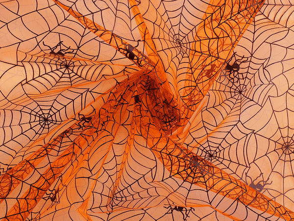 Material Organza Premium cu Imprimeu Pânză de Păianjen - Plasă Decorativă Rigidă pentru Costume de Halloween și Decorarea Meselor