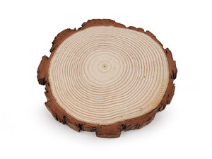 Felie rotundă din lemn natural cu scoarță (Ø14) - Disc din lemn nefinisat pentru proiecte handmade, suporturi de pahare și decorațiuni rustice
