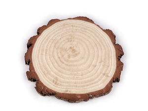 Disc din lemn natural nefinisat Premium - Cerc rotund mare din lemn cu coajă Ø21 pentru proiecte creative, decorațiuni rustice și aranjamente de masă