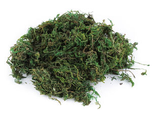 Mușchi natural decorativ premium - Verde (250g)