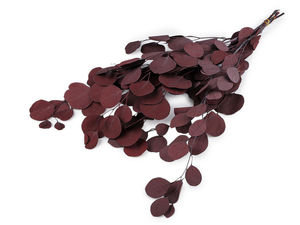 Buchet de eucalipt stabilizat premium pentru aranjamente florale și decorațiuni interioare