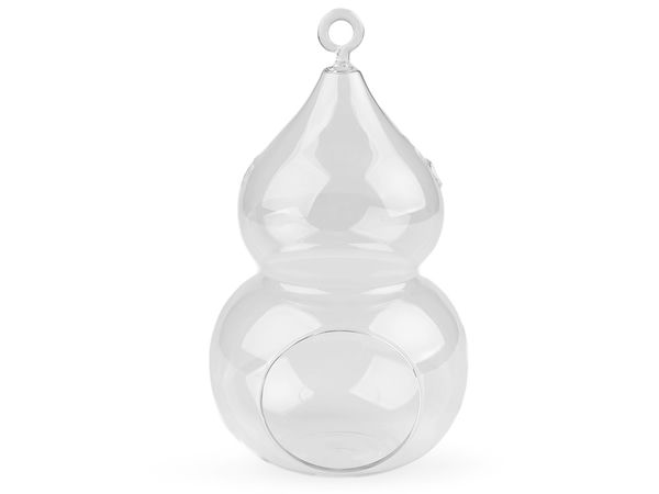 Aerium premium din sticlă transparentă - Recipient suspendat și de masă pentru terariu (12x20 cm)