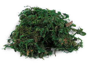 Mușchi natural decorativ premium pentru lucru manual, coronițe și floristică (25g)