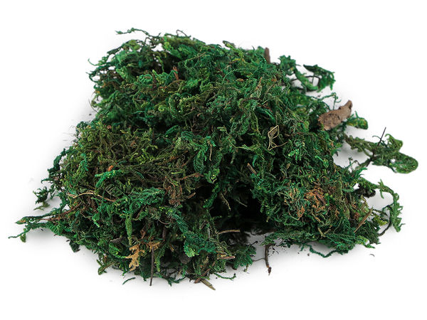 Mușchi natural decorativ premium pentru lucru manual, coronițe și floristică (25g)