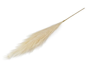 Tije premium de iarbă de pampas artificială - Decor floral artificial pufos și realist pentru aranjamente de interior moderne, rustice și scandinave