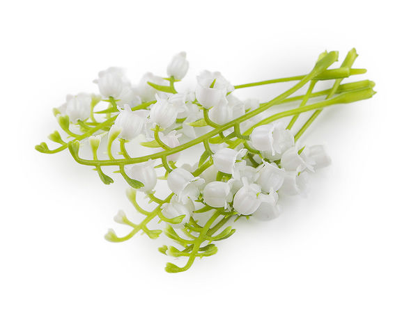 Tije elegante de lăcrămioare artificiale mini, albe, pentru aranjamente florale, coronițe și accesorii de păr pentru mireasă