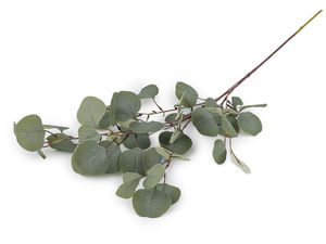 Fir de eucalipt artificial premium cu aspect natural - Verdeață artificială realistă pentru decorul casei, vaze și aranjamente florale
