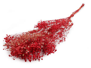 Buchet premium de floarea miresei stabilizată - Aranjament floral uscat pentru decorațiuni și proiecte creative
