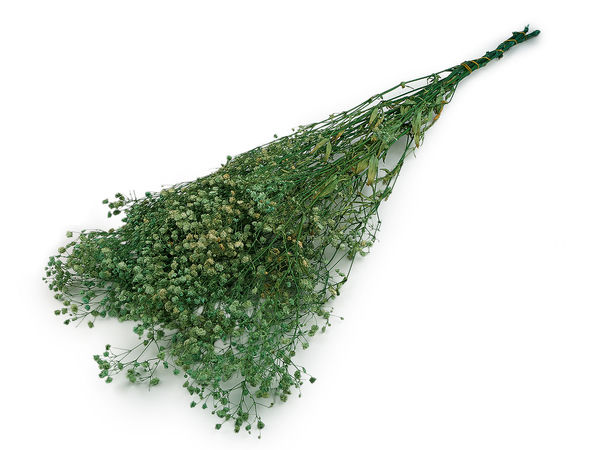 Buchet premium de floarea miresei stabilizată - Aranjament floral uscat pentru decorațiuni și proiecte creative
