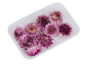 Tije de zambile premium, uscate și stabilizate, pentru design floral și proiecte de artizanat