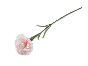 Garoafă artificială cu aspect realist și tijă flexibilă pentru aranjamente florale și proiecte craft
