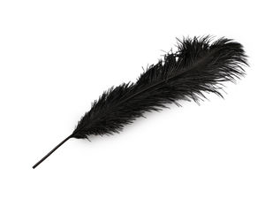 Pene naturale de struț premium – 53-55 cm, pentru artizanat, costume și decorațiuni