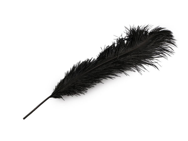 Pene naturale de struț premium – 53-55 cm, pentru artizanat, costume și decorațiuni